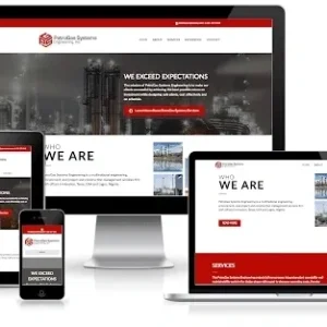 Elite Website Package