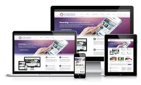 Premium Website Package